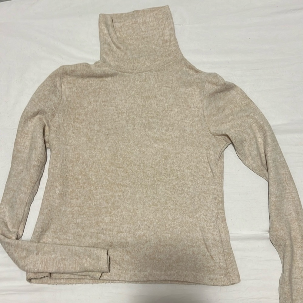 Zara beige cropped turtleneck